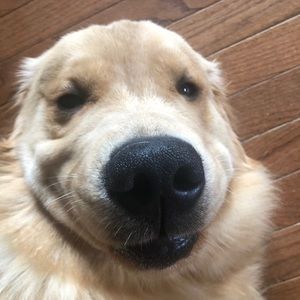 Meet your Posher, Francesca